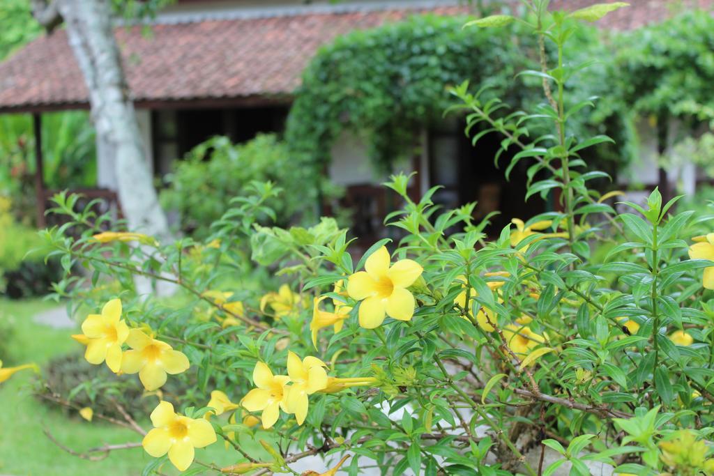Kalibaru Margo Utomo Eco Resort מראה חיצוני תמונה
