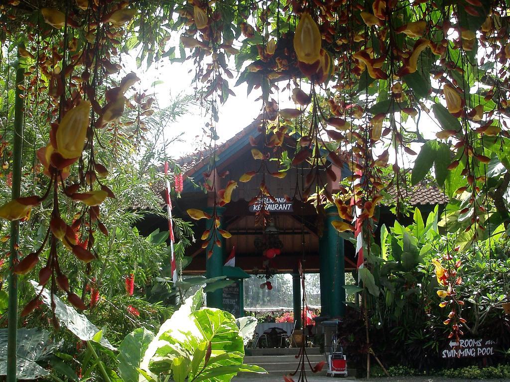 Kalibaru Margo Utomo Eco Resort מראה חיצוני תמונה
